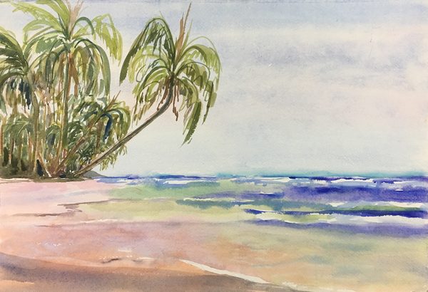 Agua Coral