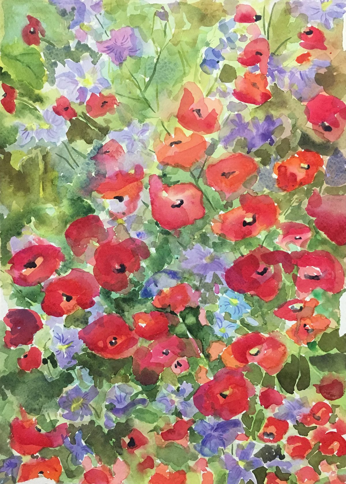 Amapolas