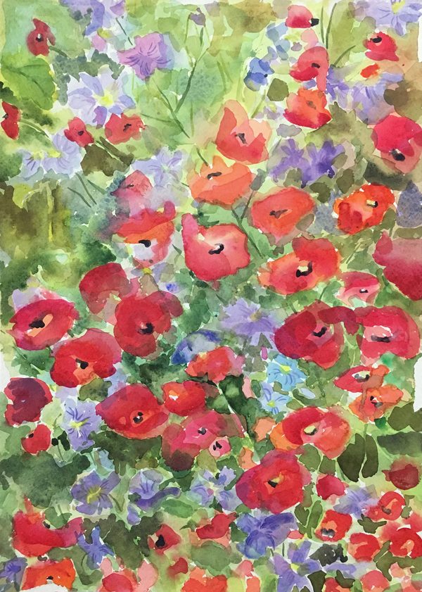 Amapolas