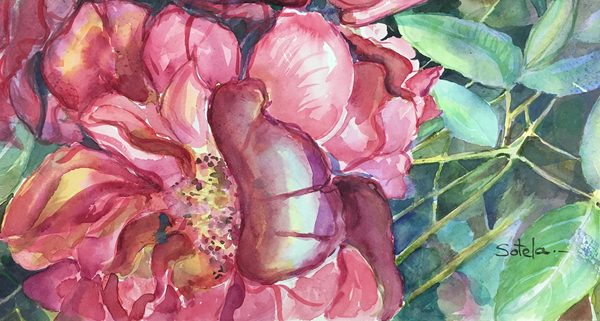 Rosas