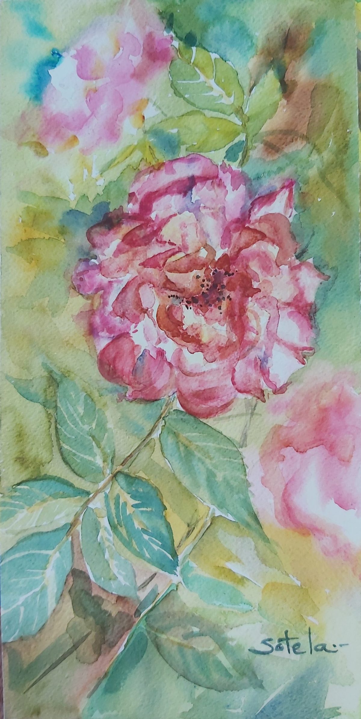 Nostalgia en tiempo de rosas